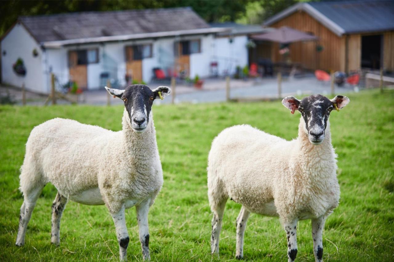 Vila Newlands Farm Stables Kendal Exteriér fotografie