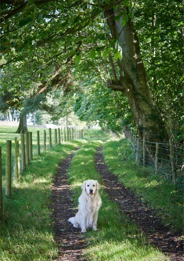 Vila Newlands Farm Stables Kendal Exteriér fotografie