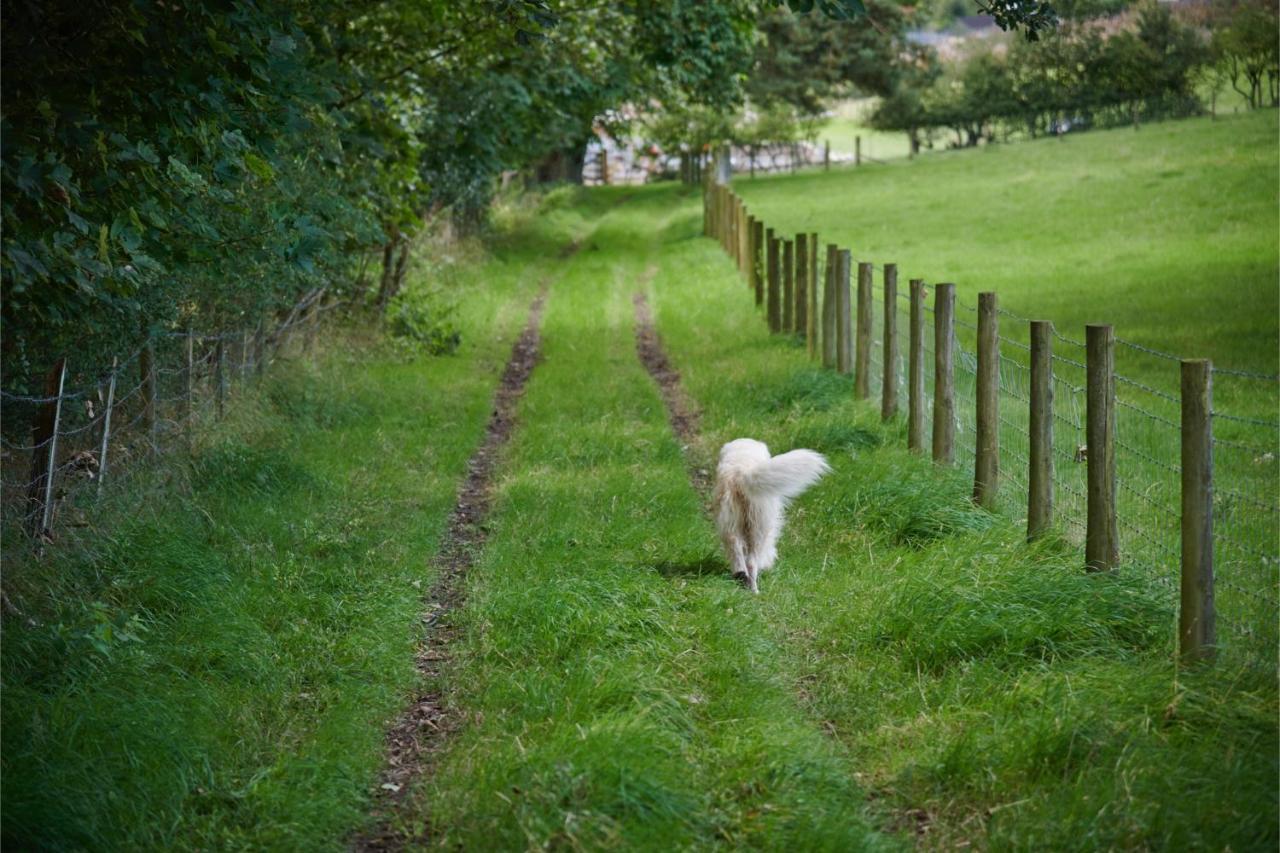 Vila Newlands Farm Stables Kendal Exteriér fotografie
