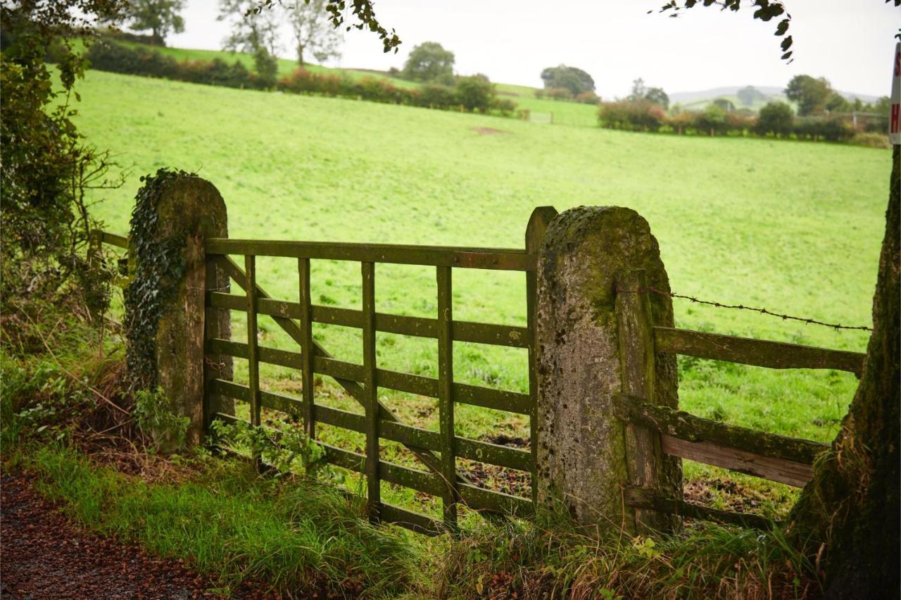 Vila Newlands Farm Stables Kendal Exteriér fotografie