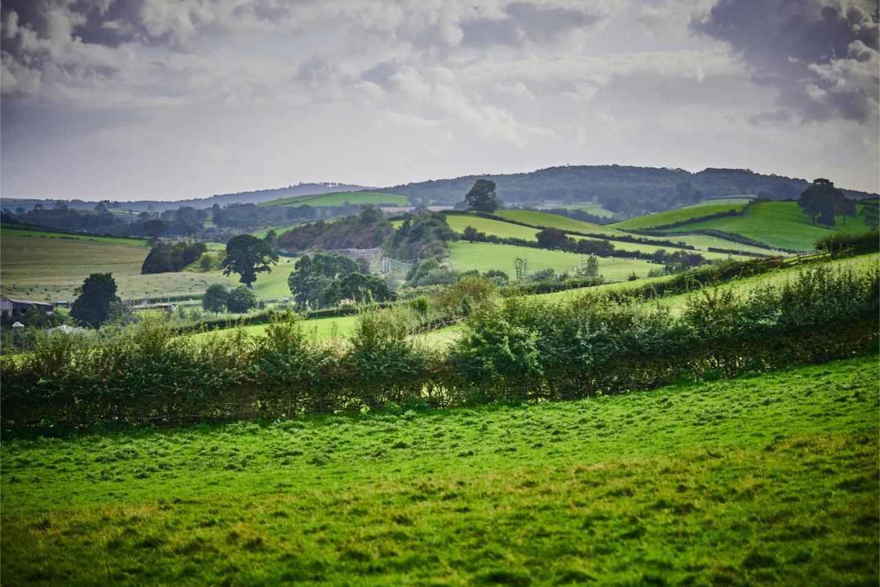 Vila Newlands Farm Stables Kendal Exteriér fotografie